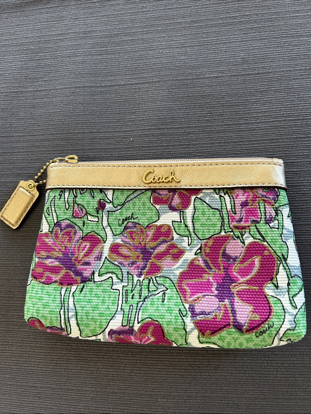 Coach pouch